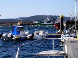 Choppy water  in the marina